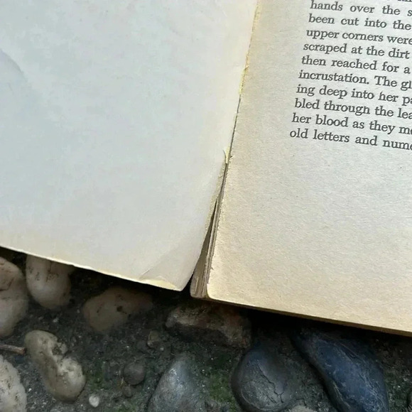 Vintage The Stone Carnation Gothic Pulp Paperback Book Naomi A. Hintze 1972 70s - Picture 7 of 7